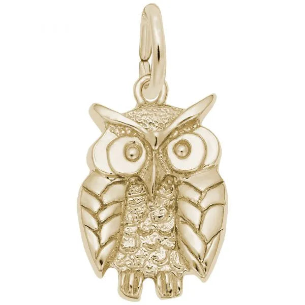 Owl Charm