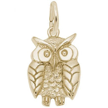 Load image into Gallery viewer, Owl Charm