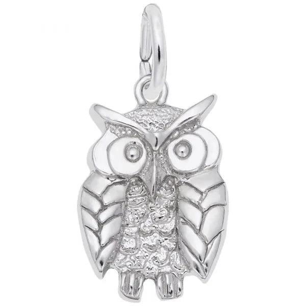 Owl Charm