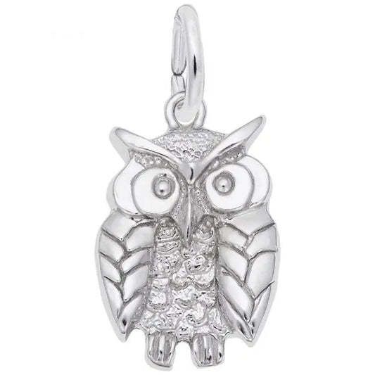 Owl Charm