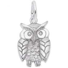 Load image into Gallery viewer, Owl Charm
