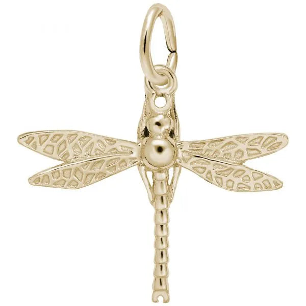Dragonfly Charm