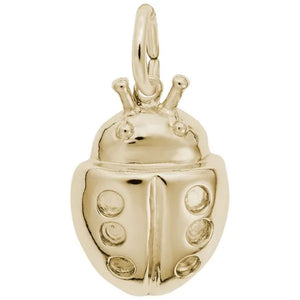 Ladybug Charm