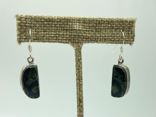 Kambaba Star Galaxy Jasper Earrings