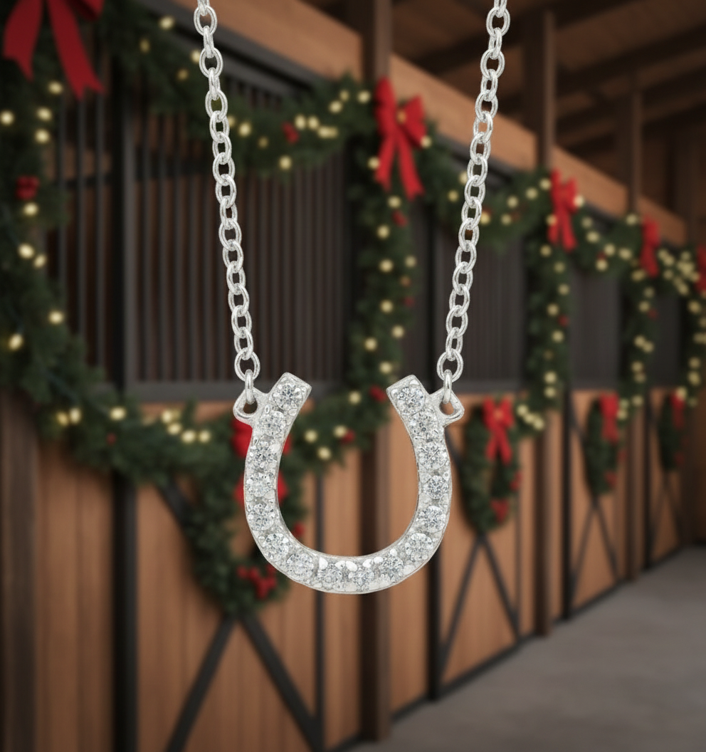 Silver CZ Horseshoe Necklace