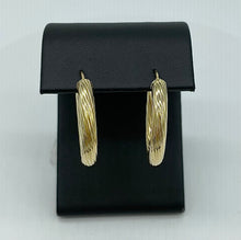 Load image into Gallery viewer, Oval Textured Earrings