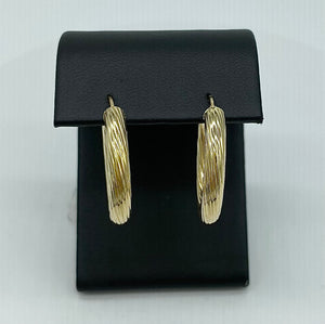 Oval Textured Earrings