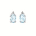 Oval Gemstone Earrings