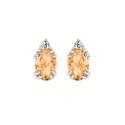 Load image into Gallery viewer, Oval Gemstone Earrings