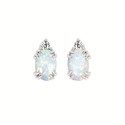Oval Gemstone Earrings