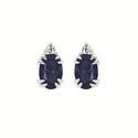 Load image into Gallery viewer, Oval Gemstone Earrings