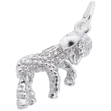 Lamb Charm