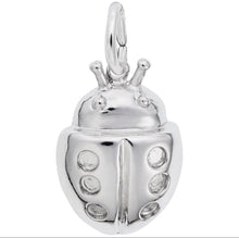 Load image into Gallery viewer, Ladybug Charm
